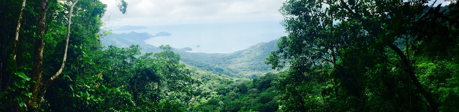 Destination Brésil